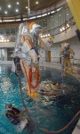 История тренингов